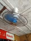A picture of Feni za juu