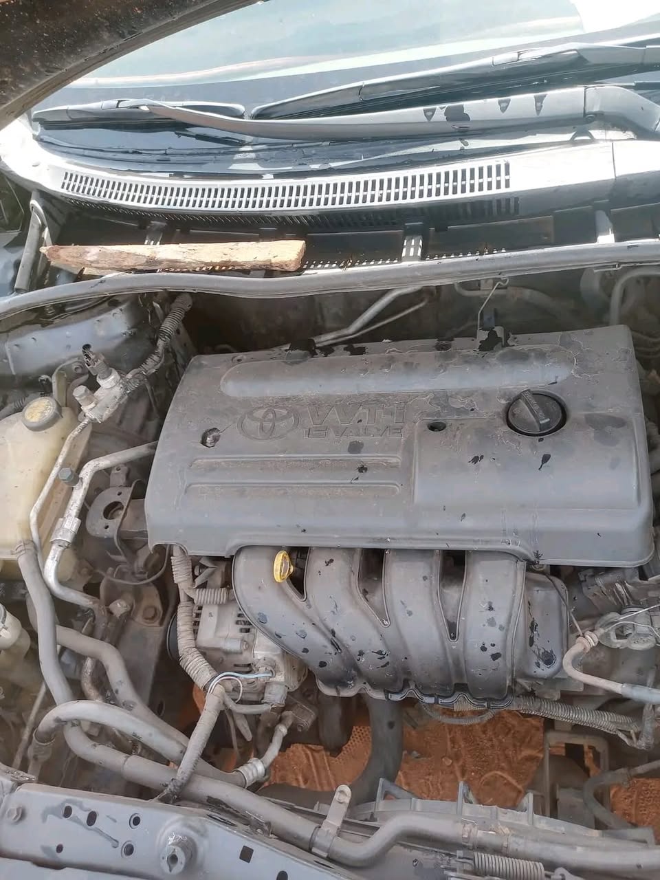 A picture of Toyota corolla