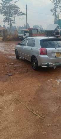 A picture of Allex at 20.5m good condition buy and drive call me