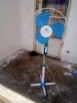 A picture of Chagua nikupe Bei