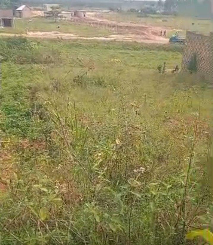 A picture of Plot