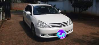 used toyota allion