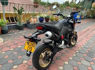 A picture of HONDA GROM