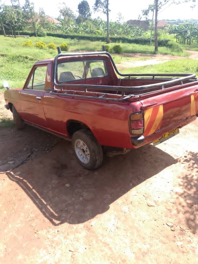 A picture of Nissan datsun 1200