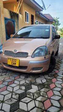 A picture of Vitz