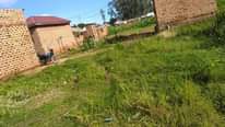 A picture of Land