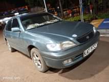 Gitau D.