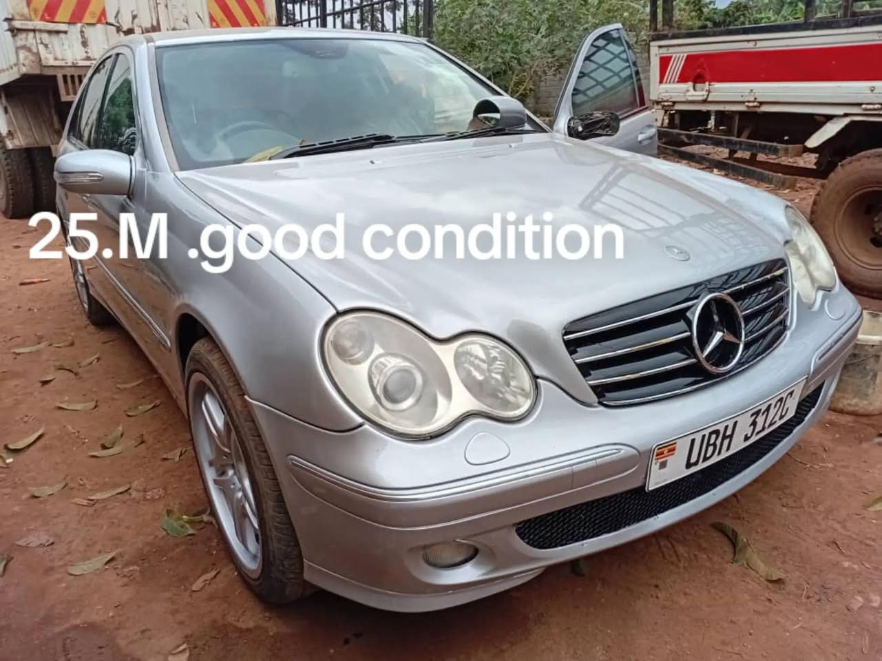A picture of Mercedes