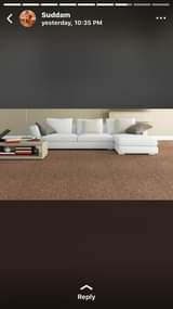 A picture of 256705881025 Woolen carpets wall to wall