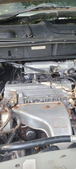 A picture of Harrier 2 2cc