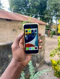 A picture of iPhone 5SE