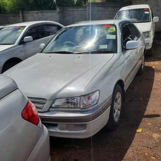 A picture of PREMIO 1998 15 5M