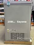 A picture of Sayona 250 Litres