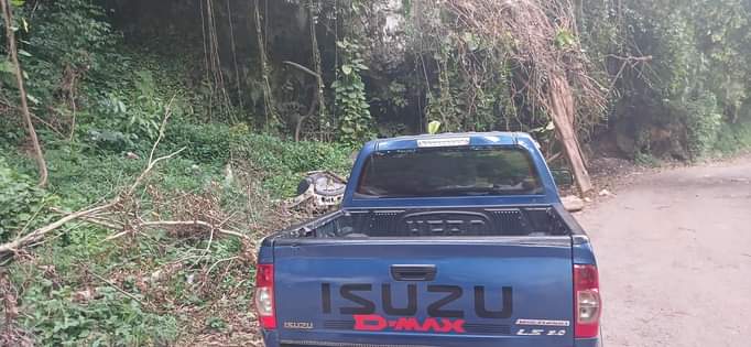 Jamaica �.