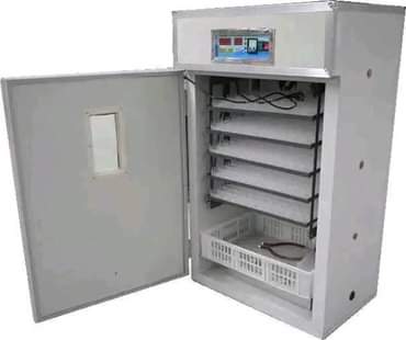 A picture of Egg incubators