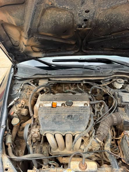 A picture of Honda Accord 04