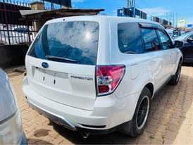 A picture of SUBARU FORSTER