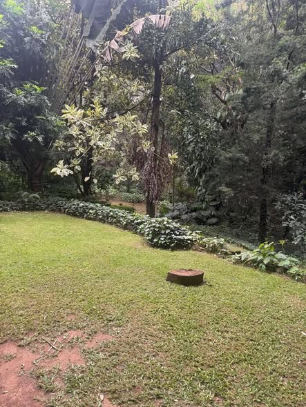 kilimani apartment to rent