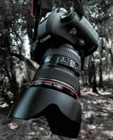 New U.