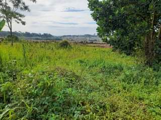 A picture of Half acre for sale in Buwanyi Namanve good for apartments