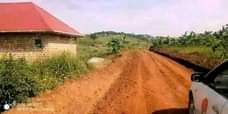 A picture of Bombo kalule town plot on quick sale