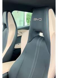 A picture of BYD