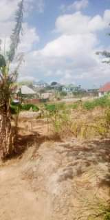 A picture of Kiwanja