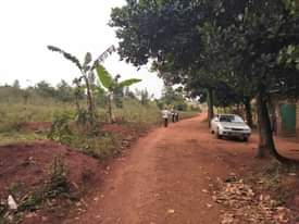 A picture of 6 tilted plots 50ft by 100ft Mafubira Jinja City 35M
