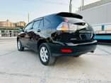 A picture of Harrier 2006