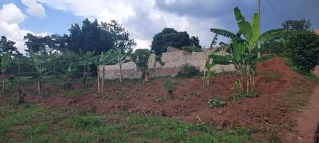 A picture of Land for sale in wakiso luggi