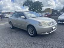 used toyota corolla