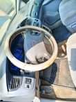 A picture of 2002 Toyota Sienna 08125339499