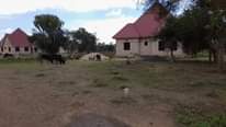 A picture of Kiwnja hicho hapo kimenyooka kinauzwa kisongo arushaa