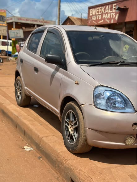 A picture of Vitz