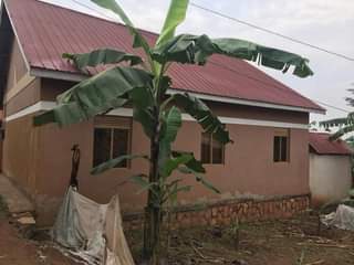 A picture of  4 well finished single rental units for sale 30m