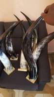A picture of Handmade cowhorn products