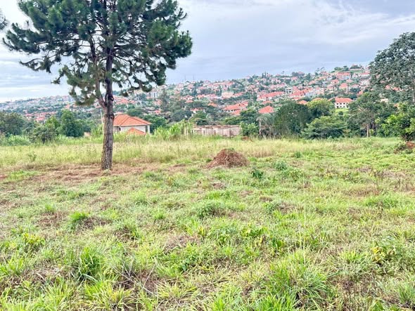 A picture of 20 DECIMALS AT 170M AKRIGHT BWEBAJJA