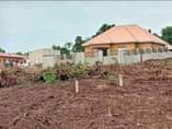 A picture of OBupangisa OBupangisa New estate is opened located at matugga kiwebwa