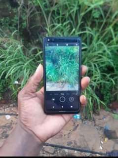 nokia