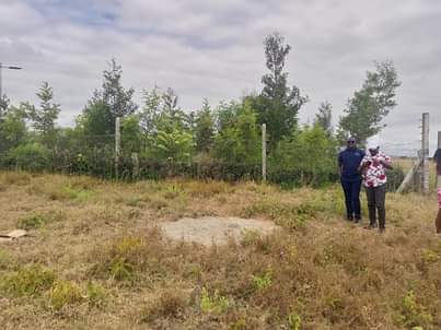 Real E.
