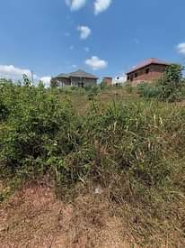 A picture of Plots for sale