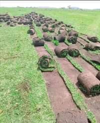 landscaping ssrvices