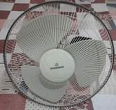 fans