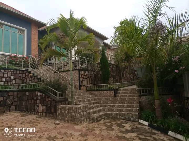 houses for rent