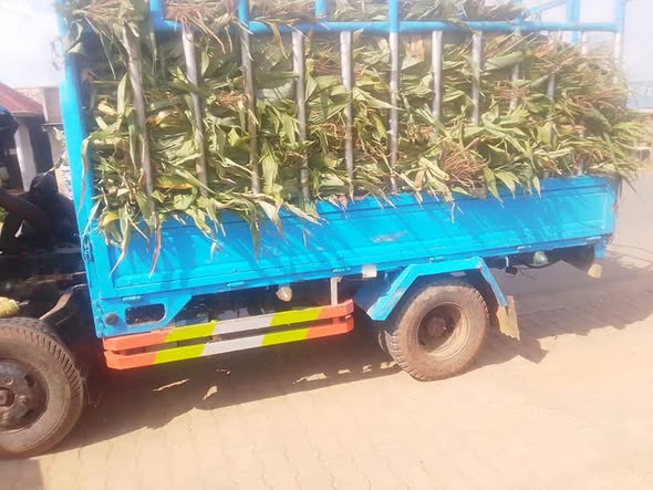 A picture of Isuzu 17 5m call 0701488581 what s app 0776417404