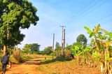A picture of CHRISTMAS OFFER 50BY100 WITH READY LAND TITLE AT 10M ONLY