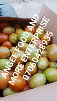 A picture of We are in the season of tomatoes yet tomatoes is