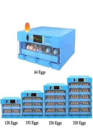 A picture of Incubators