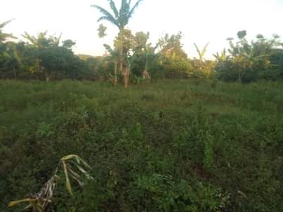 A picture of 180ft by 90ft for sale by owner in kisoga along