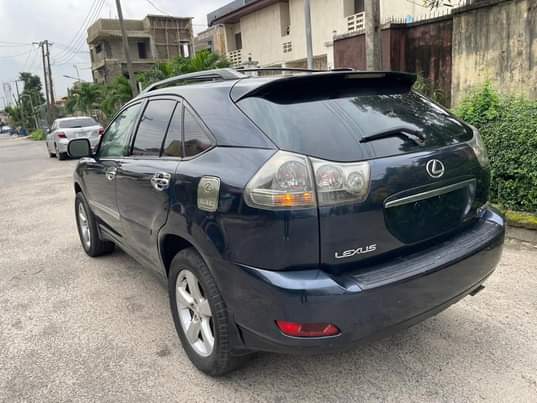 A picture of Lexus Rx 330 2004 model